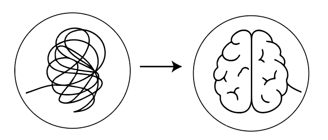 accompagnement-deblocage-cognitif